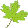 Blatt05_gruen2.gif